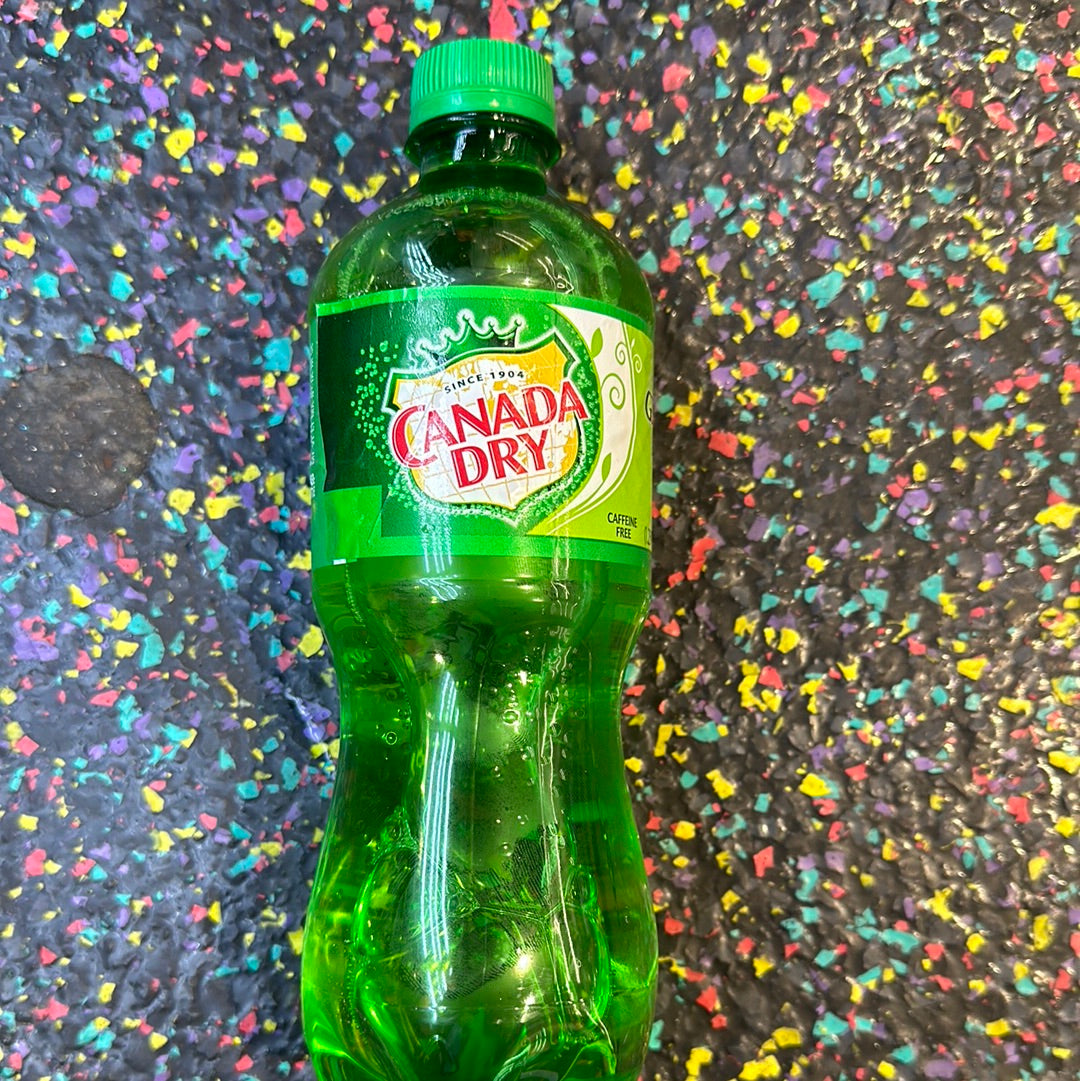 Canda Dry 591ml