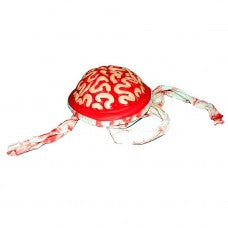 Zombie Brain Bandage