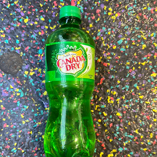 Canda Dry 591ml