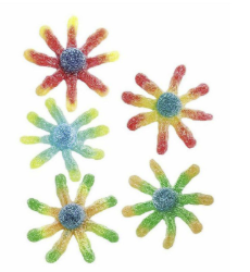 Vidal Sour Octopus 1Kg