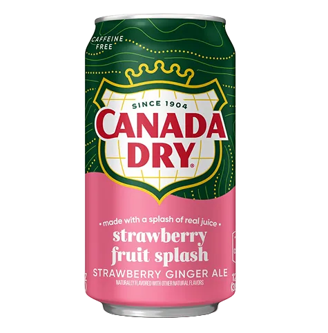 Canada Dry Fruit Splash Strawberry Ginger Ale Soda 355ml