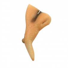 Halloween Witch Nose