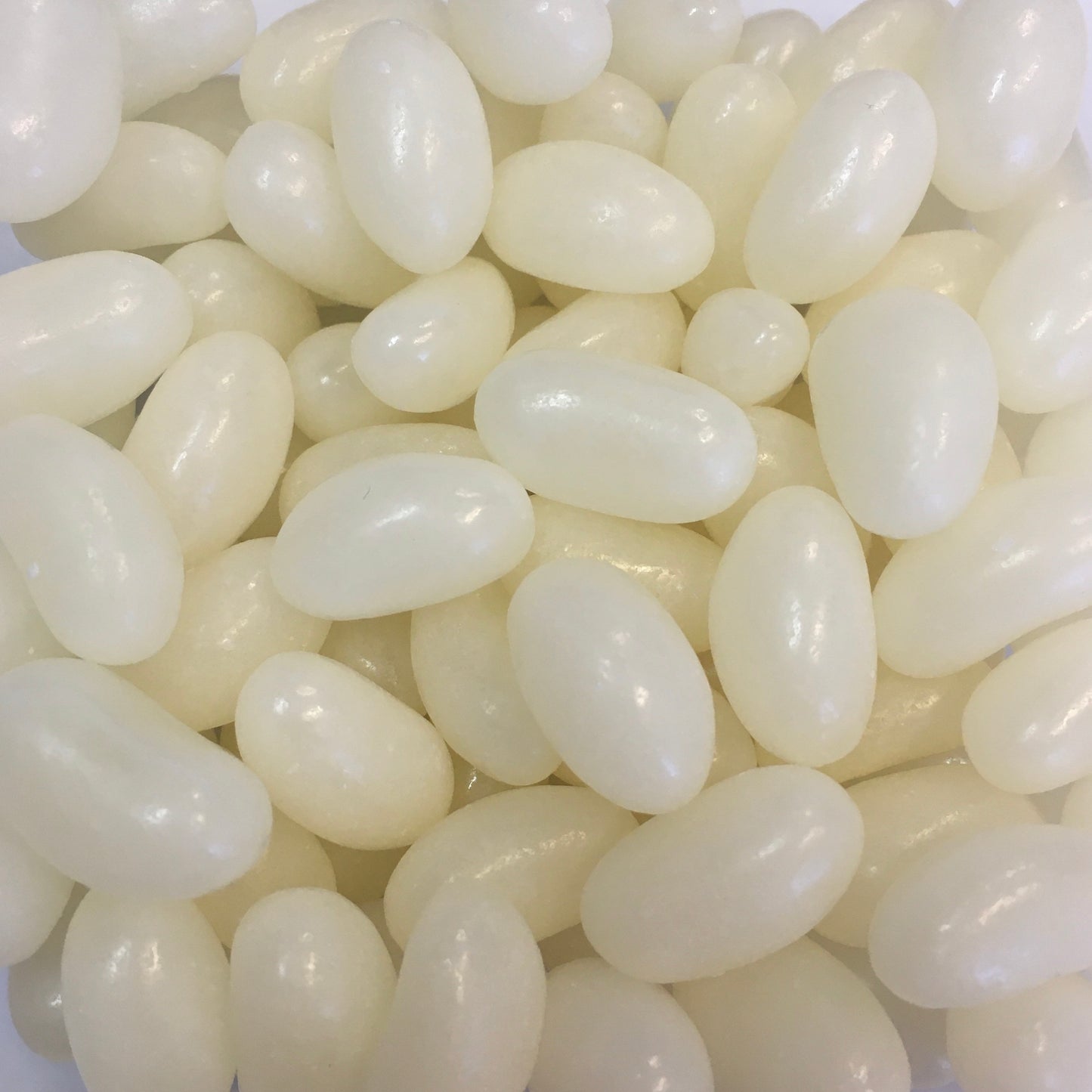 Allseps Jelly Beans White 1KG - Tom's Confectionery Warehouse