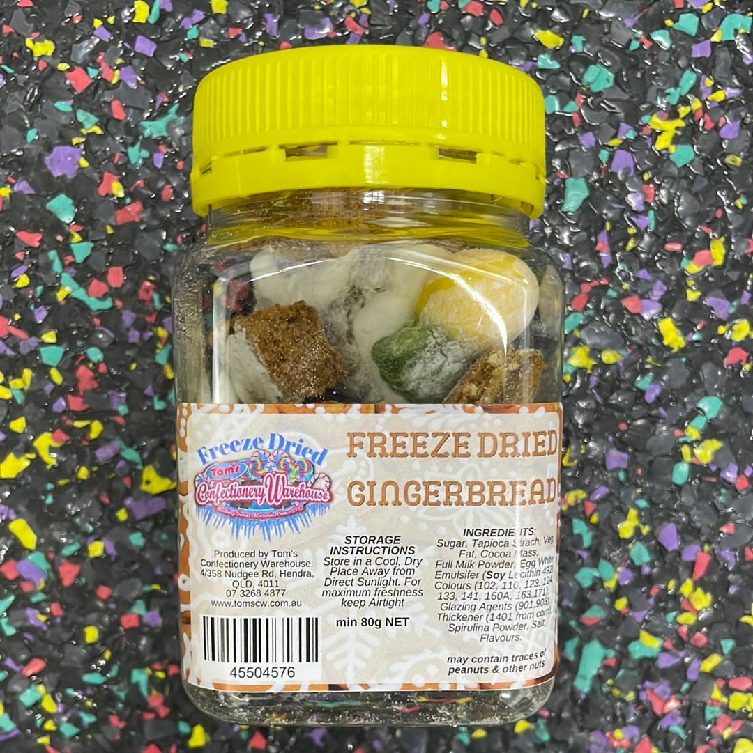 Freeze dried Gingerbread house