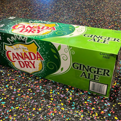 US Canada Dry Ginger Ale 355ml
