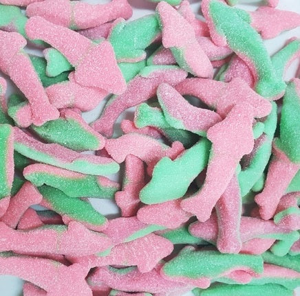 Trolli Watermelon Sharks 1.5kg - Tom's Confectionery Warehouse